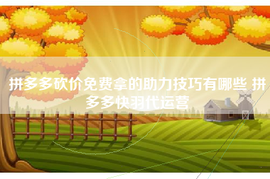 拼多多砍价免费拿的助力技巧有哪些 拼多多快羽代运营