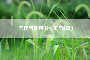 怎样写计划书（汇总2篇）