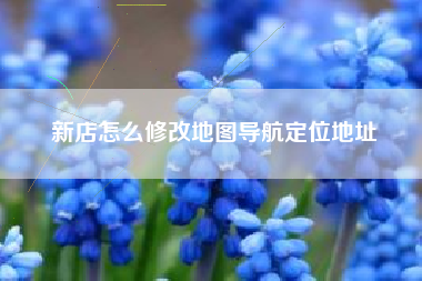 新店怎么修改地图导航定位地址