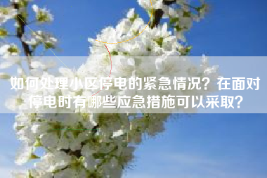如何处理小区停电的紧急情况？在面对停电时有哪些应急措施可以采取？