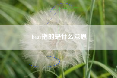 bear指的是什么意思