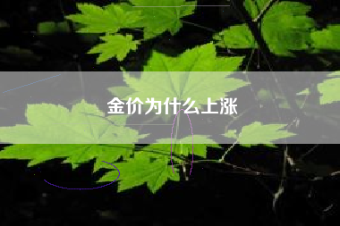 金价为什么上涨