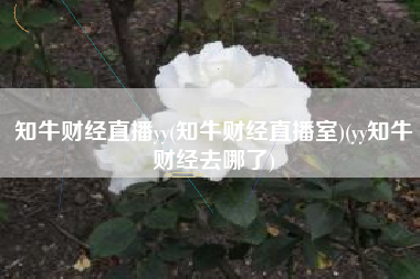 知牛财经直播yy(知牛财经直播室)(yy知牛财经去哪了)