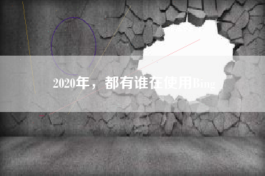 2020年，都有谁在使用Bing