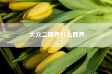 大众二厢是什么意思