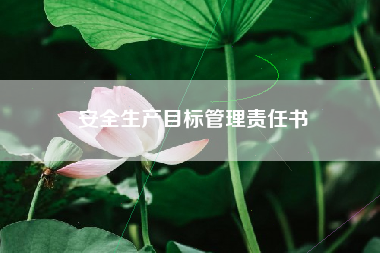 安全生产目标管理责任书