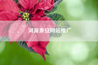 河源泰安网站推广
