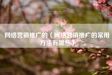 网络营销推广的（网络营销推广的常用方法有哪些）