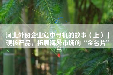 河北外贸企业危中寻机的故事（上）｜硬核产品，拓展海外市场的“金名片”