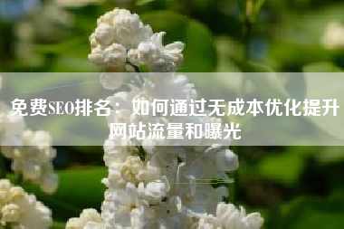 免费SEO排名：如何通过无成本优化提升网站流量和曝光