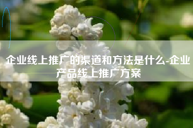 企业线上推广的渠道和方法是什么-企业产品线上推广方案
