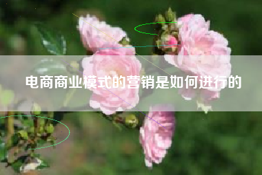 电商商业模式的营销是如何进行的