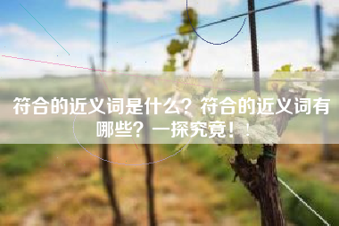 符合的近义词是什么？符合的近义词有哪些？一探究竟！!