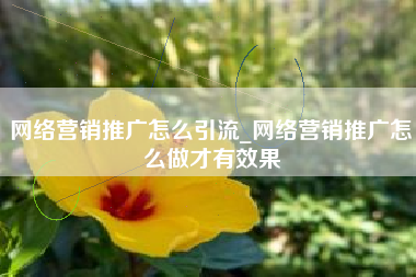 网络营销推广怎么引流_网络营销推广怎么做才有效果