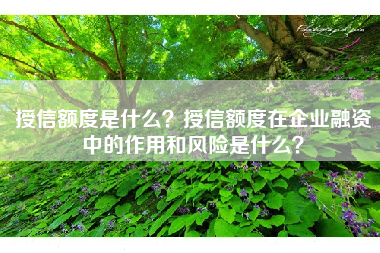 授信额度是什么？授信额度在企业融资中的作用和风险是什么？