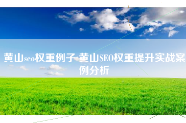 黄山seo权重例子 黄山SEO权重提升实战案例分析