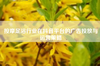 按摩足浴行业在抖音平台的广告投放与运营策略