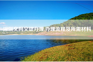 深圳文网文证办理,办理流程及所需材料
