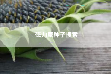 磁力草种子搜索