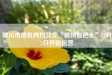 银川市首批网约公交“银川智巴士”12月2日开始运营