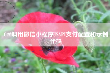 C#调用微信小程序JSAPI支付配置和示例代码