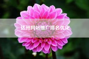 达州网站推广排名优化