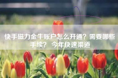 快手磁力金牛账户怎么开通?需要哪些手续? 今年快速渠道 快手磁力金牛账户怎么开通?需要哪些手续? 今年快速渠道