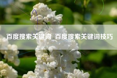 百度搜索关键词_百度搜索关键词技巧