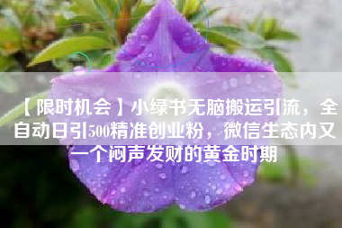 【限时机会】小绿书无脑搬运引流，全自动日引500精准创业粉，微信生态内又一个闷声发财的黄金时期