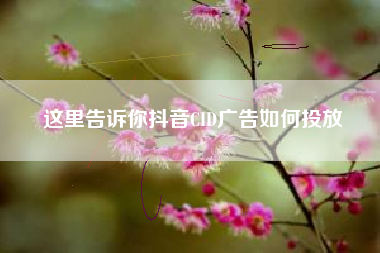 这里告诉你抖音CID广告如何投放