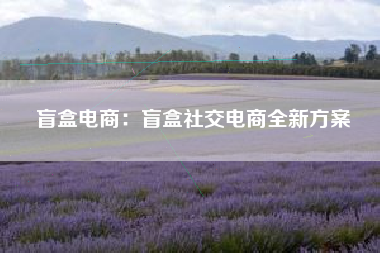 盲盒电商：盲盒社交电商全新方案