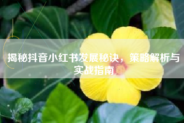 揭秘抖音小红书发展秘诀，策略解析与实战指南