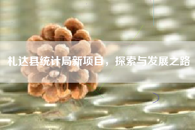 札达县统计局新项目，探索与发展之路
