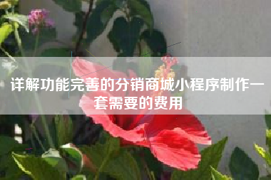 详解功能完善的分销商城小程序制作一套需要的费用