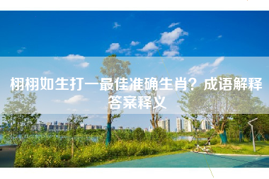 栩栩如生打一最佳准确生肖？成语解释答案释义