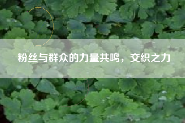 粉丝与群众的力量共鸣，交织之力