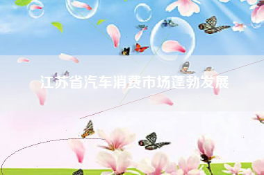 江苏省汽车消费市场蓬勃发展