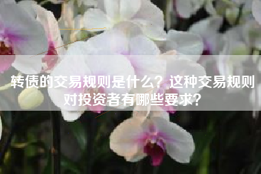 转债的交易规则是什么？这种交易规则对投资者有哪些要求？