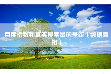 百度指数和真实搜索量的差距（数据真相）