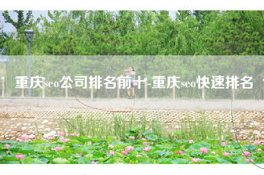 重庆seo公司排名前十-重庆seo快速排名