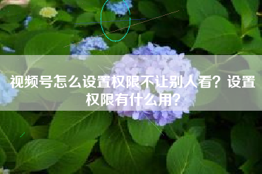 视频号怎么设置权限不让别人看？设置权限有什么用？
