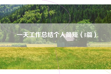一天工作总结个人简短（8篇）