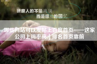 哪些网站可以发帖上百度首页——这家公司上词率高｜排名首页靠前