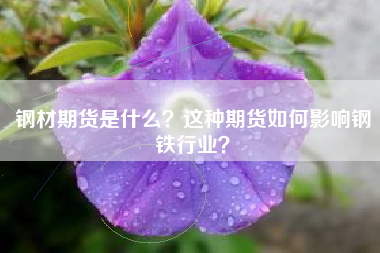 钢材期货是什么？这种期货如何影响钢铁行业？