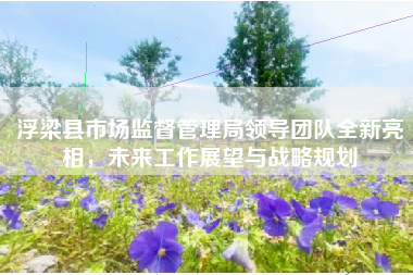 浮梁县市场监督管理局领导团队全新亮相，未来工作展望与战略规划