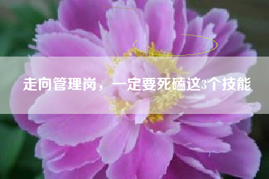 走向管理岗，一定要死磕这3个技能
