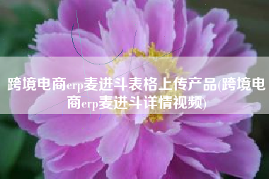 跨境电商erp麦进斗表格上传产品(跨境电商erp麦进斗详情视频)