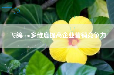 飞鸽crm多维度提高企业营销竞争力
