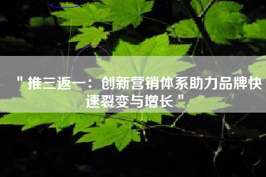 ＂推三返一：创新营销体系助力品牌快速裂变与增长＂