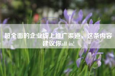 超全面的企业线上推广渠道，这条内容建议你all in!